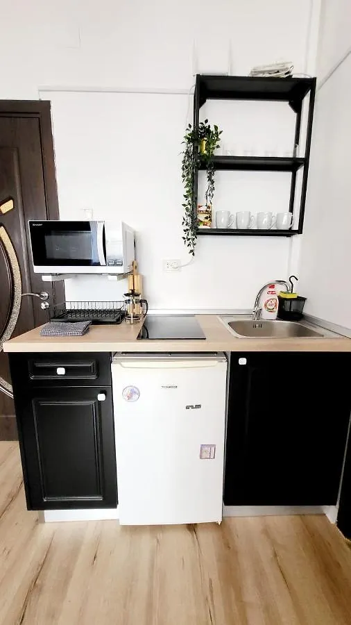 Central Studio Sapphire Apartment Bucharest